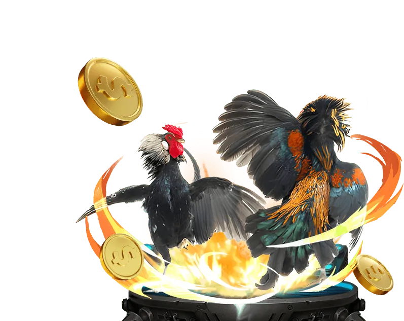 Phân tích rủi ro trong cá cược trực tuyến